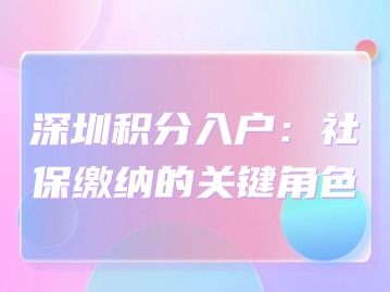 深圳积分入户：社保缴纳的关键角色