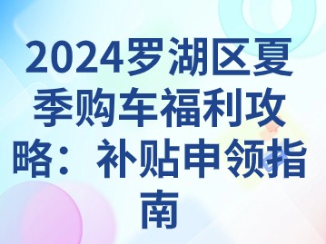 2024罗湖区夏季购车福利攻略：补贴申领指南