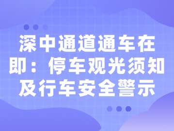 深中通道通车在即：停车观光须知及行车安全警示